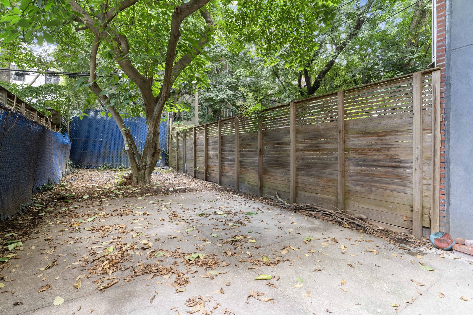 Private rear yard with mature tree and wood fence at 420 Quincy Street, Bed-Stuy